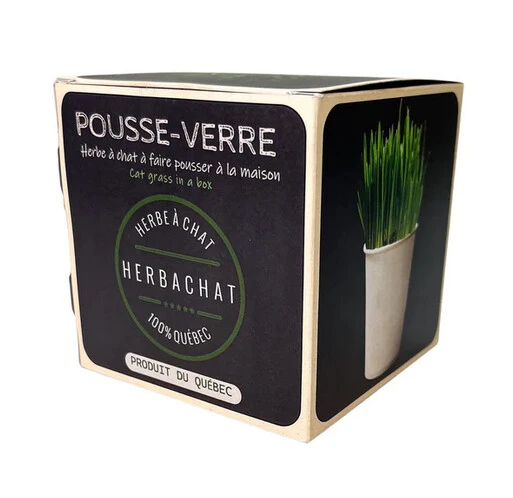 Trousse D'herbe à Chat Pousse-Verre - Herbachat 2 Trousse D'herbe à Chat Pousse-Verre - Herbachat - Image 2