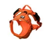 Harnais MOE Orange Pour Chiens - Le Chien Blanc