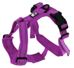 Harnais Pour Chiens CHARLIE Mauve - Le Chien Blanc