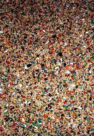 Nourriture Pour Perruches FRUITOMAX - Zoomax 3 Nourriture Pour Perruches FRUITOMAX - Zoomax - Image 3