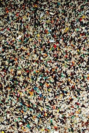 Nourriture Pour Serins FRUITOMAX - Zoomax 3 Nourriture Pour Serins FRUITOMAX - Zoomax - Image 3