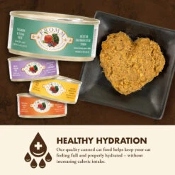 Nourriture En Boîte Pour Chats Saumon Et Thon - Fromm Four-Star -ANIMOBOUFFE SOLDES Fr853 3 optimize