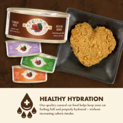 Nourriture En Boîte Pour Chats à La Dinde - Fromm Four-Star -ANIMOBOUFFE SOLDES Fr854 3 optimize