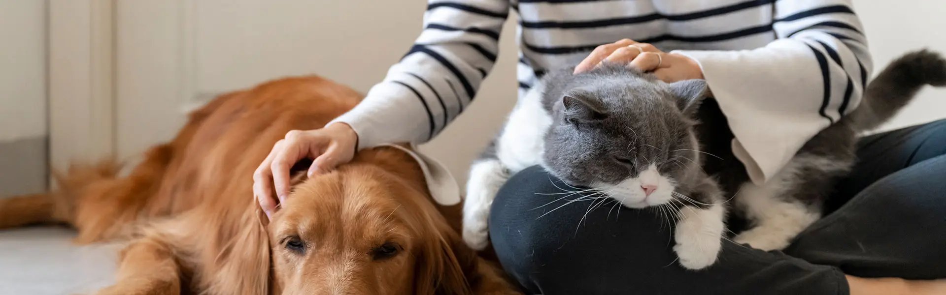 ANIMOBOUFFE SOLDES -ANIMOBOUFFE SOLDES