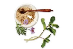 Nourriture Pour Chiens Adultes Au Porc - Nutram Sound S46 -ANIMOBOUFFE SOLDES M385 3 optimize