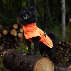 Manteau Imperméable Équinoxe Orange Pour Chiens - Le Chien Blanc -ANIMOBOUFFE SOLDES MM7080 MM7086 3 optimize