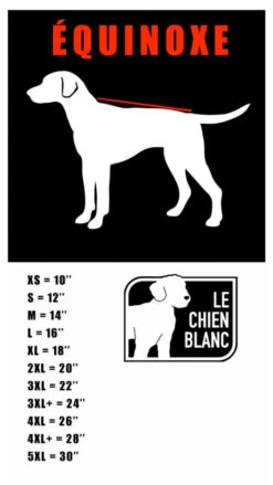 Manteau Imperméable Équinoxe Orange Pour Chiens - Le Chien Blanc -ANIMOBOUFFE SOLDES MM7080 MM7086 4 optimize