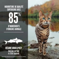 Nourriture Sans Grains Pour Chats Six Fish - ORIJEN -ANIMOBOUFFE SOLDES ORIJEN Six Fish Cat Percentages Image Canada French optimize