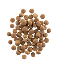 Nourriture Pour Chiots Sans Grains - Now Fresh -ANIMOBOUFFE SOLDES Pc1011 3 optimize