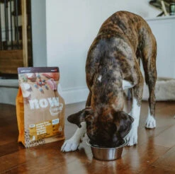 Nourriture Pour Chiots Sans Grains - Now Fresh -ANIMOBOUFFE SOLDES Pc1011 4 optimize