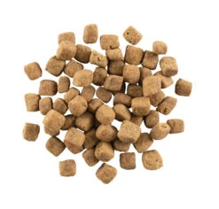 Nourriture Pour Chiots De Grandes Races Sans Grains - Now Fresh -ANIMOBOUFFE SOLDES Pc1024 3 optimize