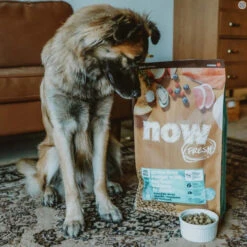 Nourriture Pour Chiots De Grandes Races Sans Grains - Now Fresh -ANIMOBOUFFE SOLDES Pc1024 4 optimize