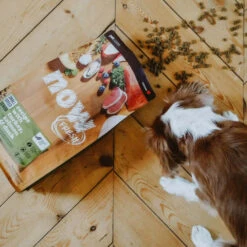 Nourriture Pour Chiens Petites Races Séniors Sans Grains - Now Fresh -ANIMOBOUFFE SOLDES Pc1036 4 optimize