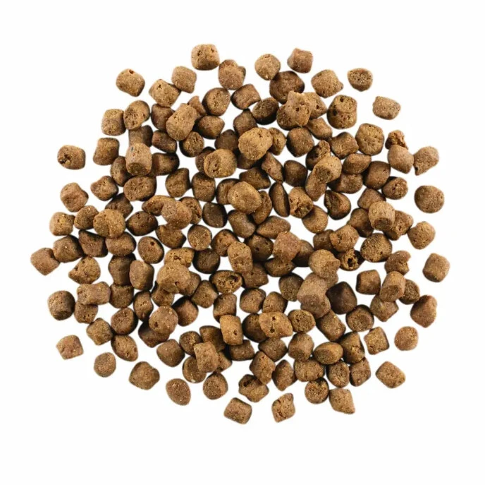 Nourriture Sans Grains à L’agneau Et Au Sanglier Pour Chats - Go ! Carnivore 2 Nourriture Sans Grains à L’agneau Et Au Sanglier Pour Chats - Go ! Carnivore - Image 2