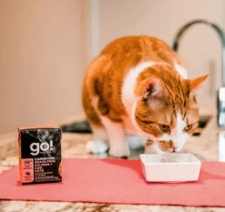 Nourriture En Boîte Pâté De Saumon Et Morue Pour Chats - Go ! Carnivore -ANIMOBOUFFE SOLDES Pc9603 3 optimize