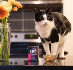 Nourriture En Boîte Au Poulet Haché Pour Chats - Go ! Skin + Coat Care -ANIMOBOUFFE SOLDES Pc9604 3 optimize