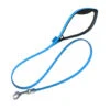 Laisse Pour Chien 48'' Bond Pet - Bleu