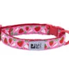 Collier En Nylon Ajustable Pour Chat à Motif De Fraises - Rc Pets