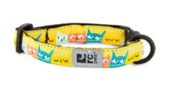 Collier Pour Chat à Motifs Cat-Titude - Rc Pets