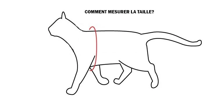 Ensemble Laisse 1,8m Et Harnais Rouge Alley - Rogz 2 Ensemble Laisse 1,8m Et Harnais Rouge Alley - Rogz - Image 2