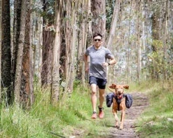 Sac-à-Dos Pour Chiens Quest Day Pack Noir - RcPets -ANIMOBOUFFE SOLDES d829190 3 optimize