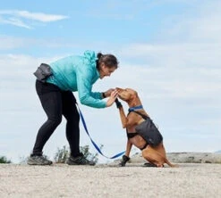 Sac-à-Dos Pour Chiens Quest Day Pack Noir - RcPets -ANIMOBOUFFE SOLDES d829190 4 optimize