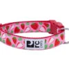 Collier En Nylon Ajustable Pour Chien à Motif De Fraises - Rc Pets