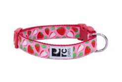 Collier En Nylon Ajustable Pour Chien à Motif De Fraises - Rc Pets