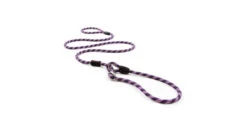 Laisse Luca Pour Chiens Mauve - EzyDog