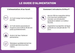 Arthur Ferret Nourriture Pour Furet Au Poulet Et Hareng 2.5kg -ANIMOBOUFFE SOLDES ga2460 6 optimize