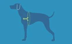 Sac-à-Dos Pour Chiens Quest Day Pack Noir - RcPets -ANIMOBOUFFE SOLDES harnais rcpet jpg 2 optimize