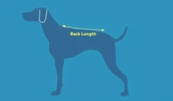 Sac-à-Dos Pour Chiens Quest Day Pack Noir - RcPets -ANIMOBOUFFE SOLDES harnais rcpet optimize