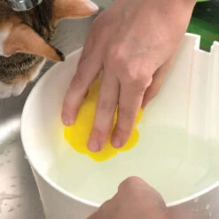 Ensemble De Nettoyage Pour Abreuvoir - Catit -ANIMOBOUFFE SOLDES hg44020 5 optimize