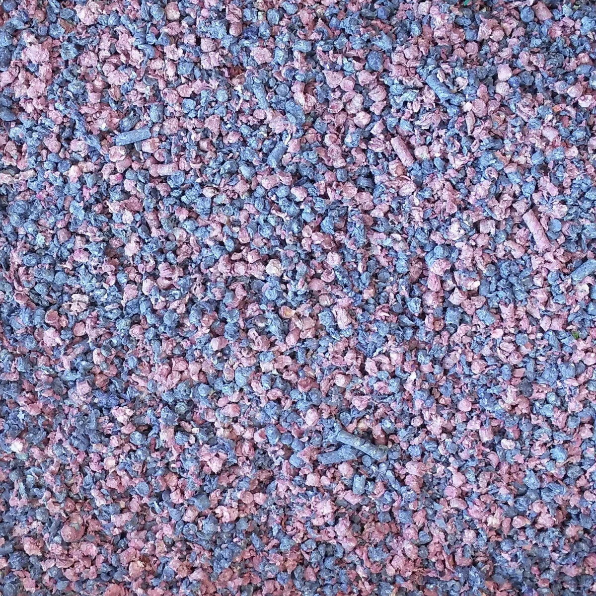 Litière Fresh 'N Comfy Bleu - Living World 2 Litière Fresh 'N Comfy Bleu - Living World - Image 2