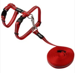 Ensemble Laisse 1,8m Et Harnais Rouge Alley - Rogz