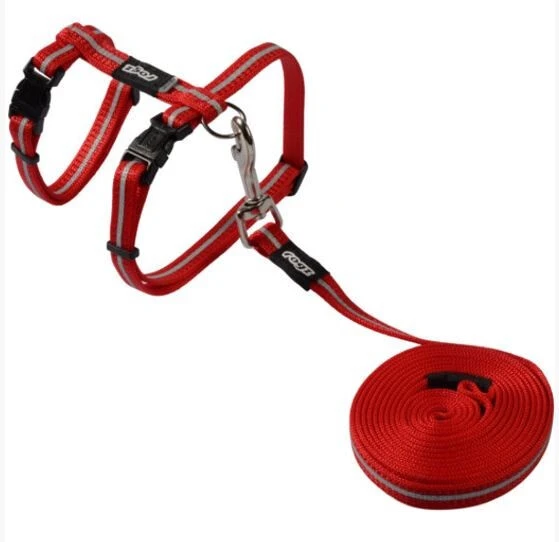 Ensemble Laisse 1,8m Et Harnais Rouge Alley - Rogz 1 Ensemble Laisse 1,8m Et Harnais Rouge Alley - Rogz