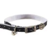 Collier Pour Chats Trendy Noir Fermoir De Plastique 10-12" - Rogz