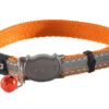 Collier Pour Chats Nigth Oiseaux Orange 8-12"-Rogz