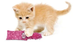 Jouet Kickeroo Pour Chatons - Kong -ANIMOBOUFFE SOLDES kg0972 2 optimize