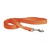 Laisse De Nylon Orange Pour Chiens