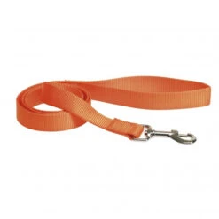 Laisse De Nylon Orange Pour Chiens