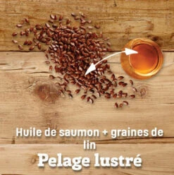 Nourriture Pour Chiens Adultes à L'agneau - Nutram Sound S9 -ANIMOBOUFFE SOLDES m381 3 optimize