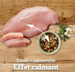 Nourriture Sans Grains Chiens Petites Races Poulet Et Dinde - Nutram Total T27 -ANIMOBOUFFE SOLDES m480 3 optimize