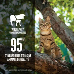 Nourriture En Boîte Repas Regional Red Pour Chats - ORIJEN -ANIMOBOUFFE SOLDES oj753 5 optimize