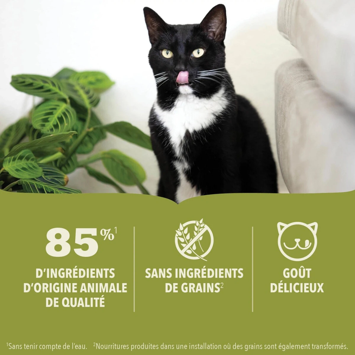 Nourriture En Boîte Pour Chats Au Boeuf - ACANA 3 Nourriture En Boîte Pour Chats Au Boeuf - ACANA - Image 3