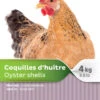 Supplément D'Écailles D'Huître Pour Poules 4kg - Maska