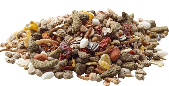 Nourriture Pour Rats, Rat Nature - Versele-Laga 2 Nourriture Pour Rats, Rat Nature - Versele-Laga - Image 2