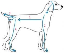 Shampoing Anti-puces Avec Aloes Pour Animaux - Zodiac -ANIMOBOUFFE SOLDES shampoing antipuce optimize