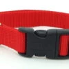 Collier Pour Animaux Ajustable En Nylon Rouge - Tuff