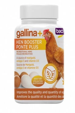 Supplément Ponte Plus Galinna+ Pour Poules - Baci+